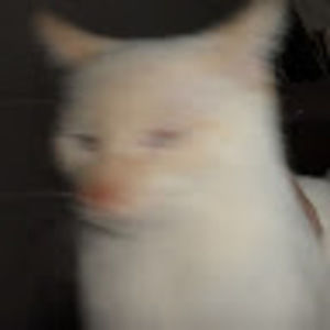 Meet your Posher, Jocelyn